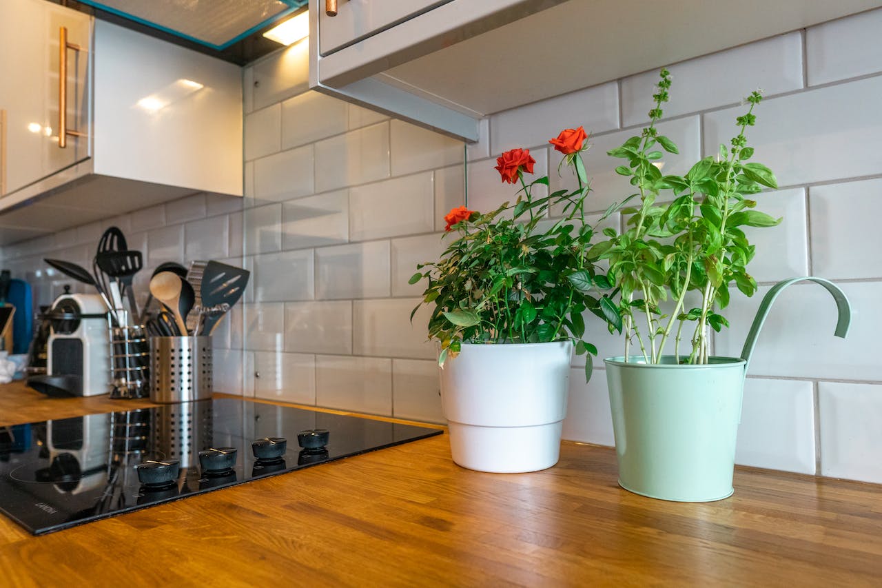 Kitchen Upgrades Smart and Stylish: Revitalize Your Home Smart